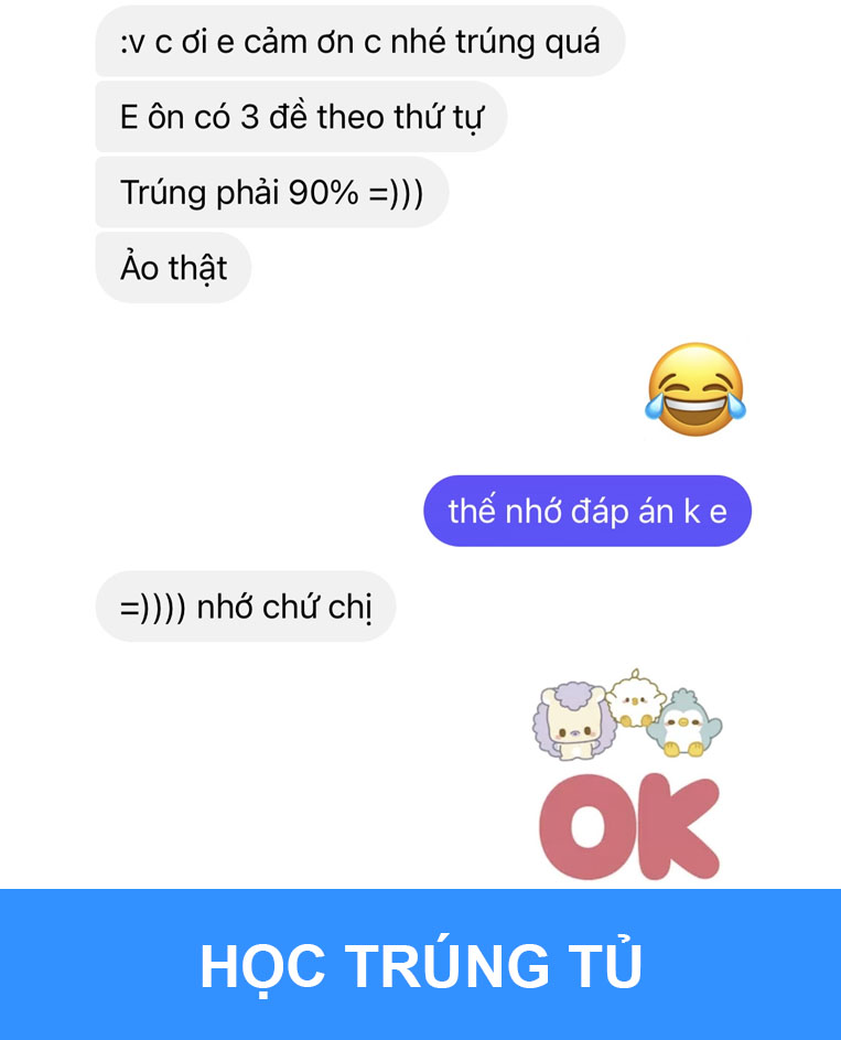 Feedback từ học viên